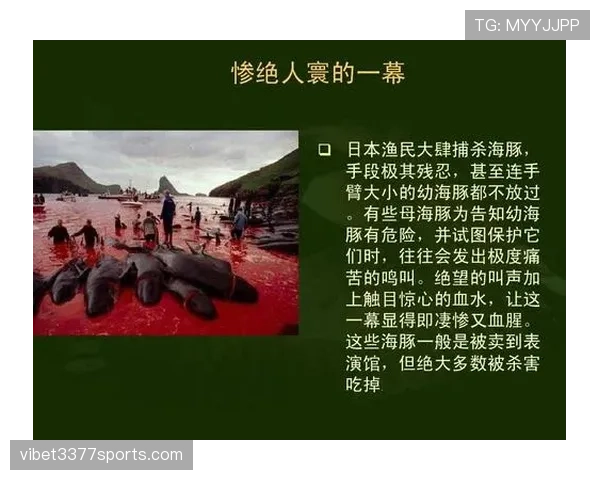 守门员保护规则详解:哪些犯规裁判绝不会放过? 守门员保护规则详解:哪些犯规裁判绝不会放过?